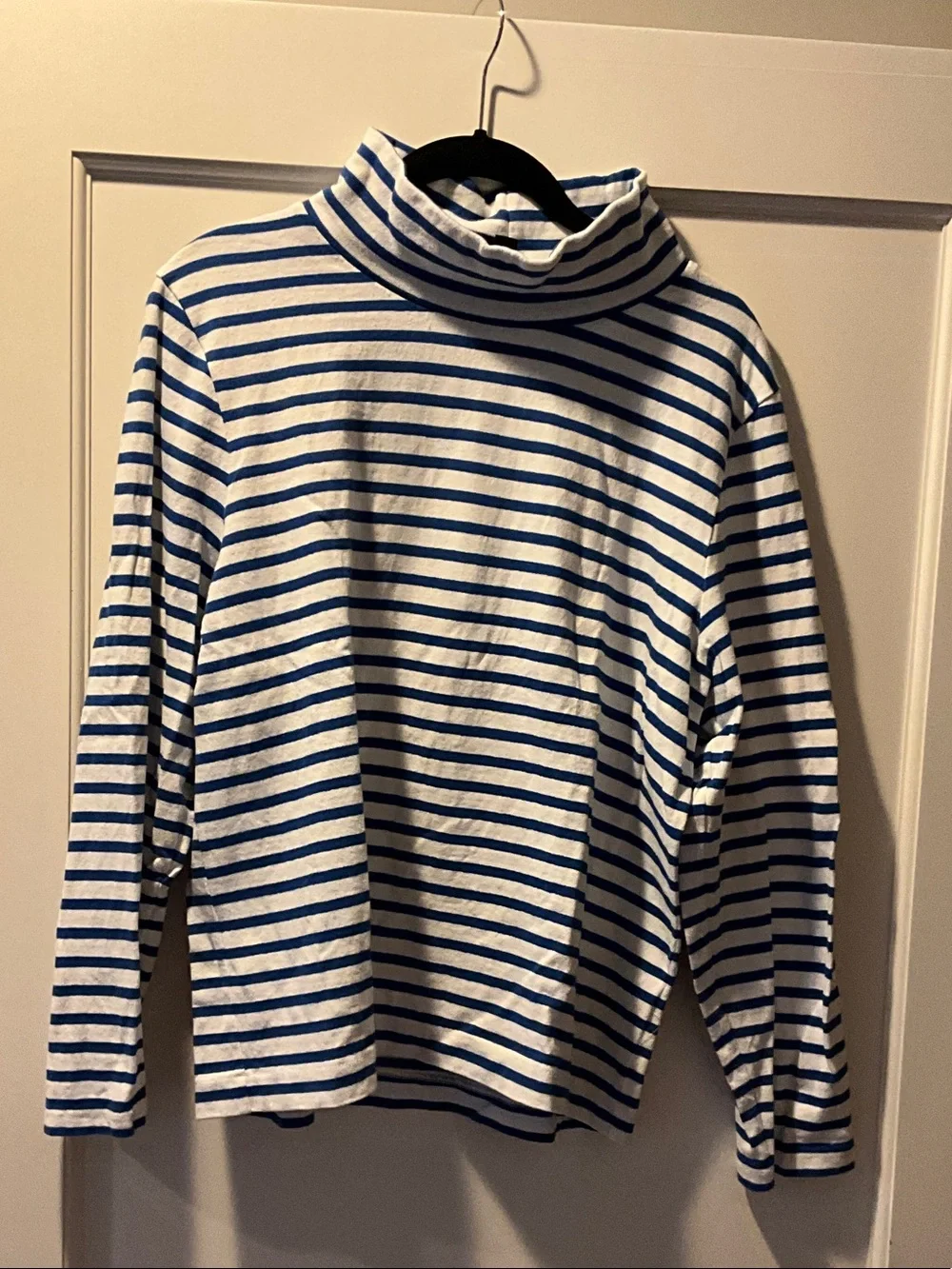 J. Crew Blue and White Striped Turtleneck Sweater